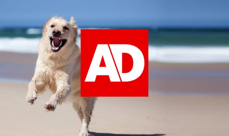 AD.nl: Zo voorkom je dat je gek wordt van een volle agenda