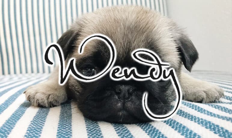 Wendy: Het uitstellen van lastige klussen stop je zo!