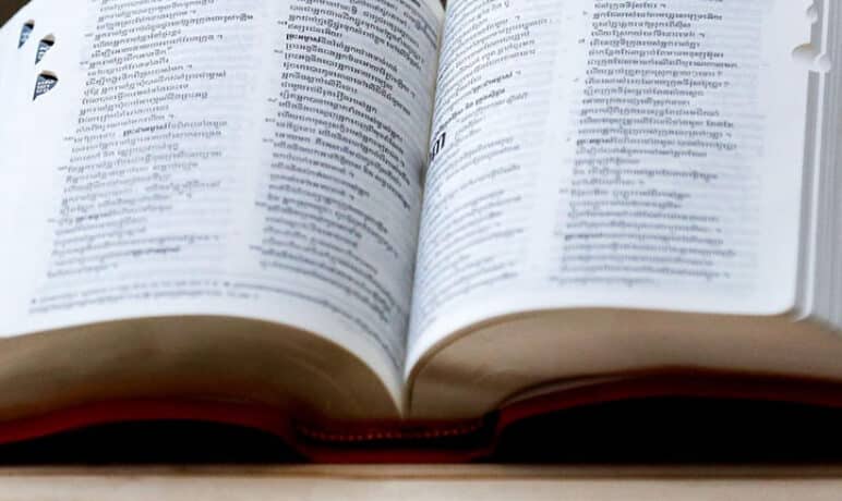 Assertief woordenboek