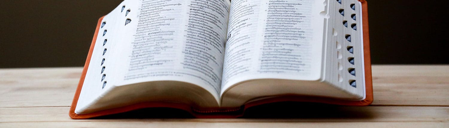 Assertief woordenboek