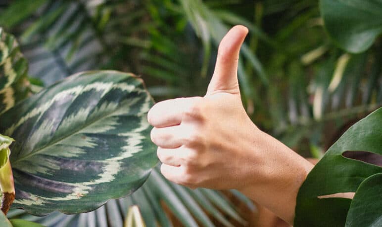 Een compliment geven. 3 elementen zorgen voor een wow-factor