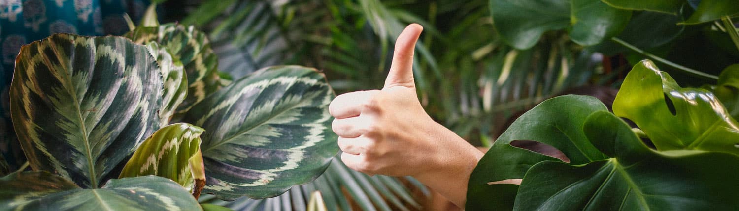 Een compliment geven. 3 elementen zorgen voor een wow-factor