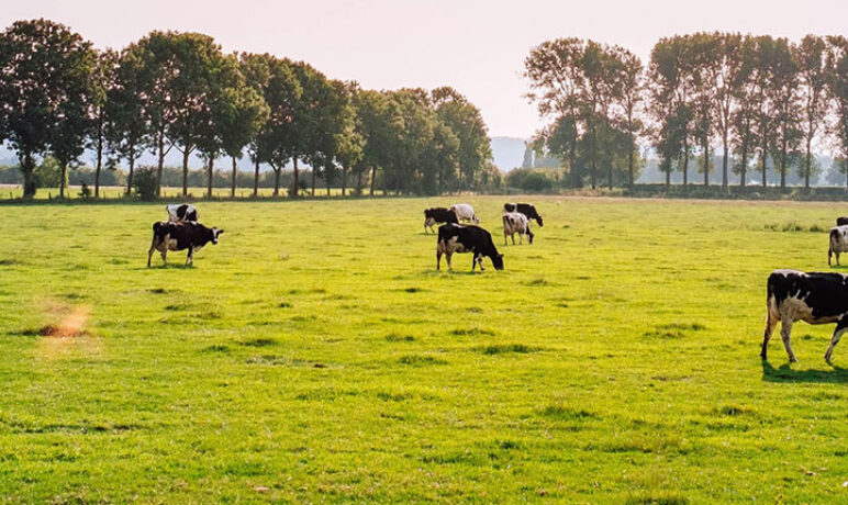 Praten met vreemden_