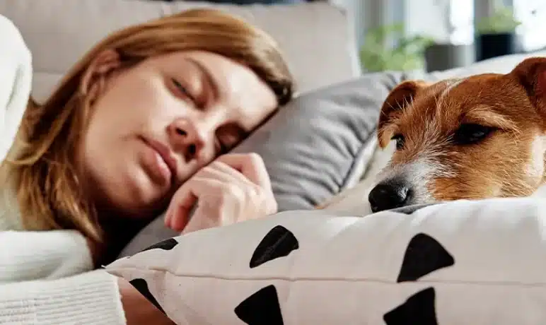 Hoeveel slaap heb je nodig