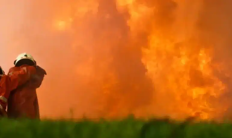 brandjes blussen