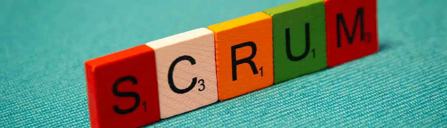 Mini scrum